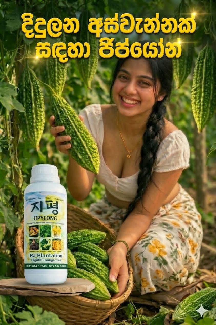 Nongbuae Fertilizer Promotional Photo / 농부애 지평 비료 홍보 사진입니다.