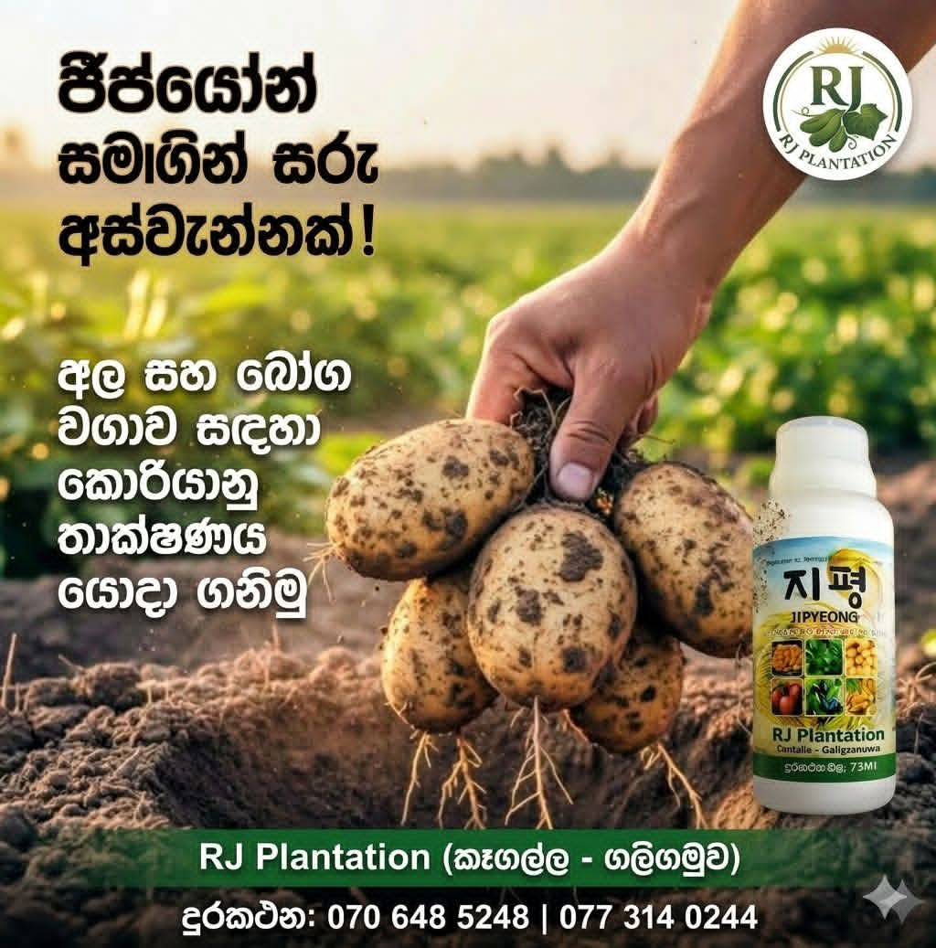 Nongbuae Fertilizer Promotional Photo / 농부애 지평 비료 홍보 사진입니다.