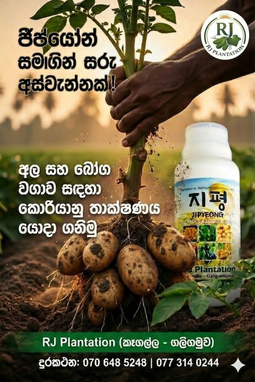 Nongbuae Fertilizer Promotional Photo / 농부애 지평 비료 홍보 사진입니다.