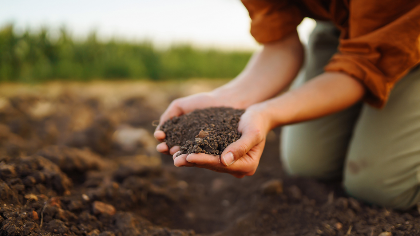 건강한 토양을 살피는 농부애 손 / Nongbuae soil health